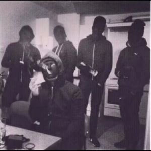 Meet your Posher, Niko